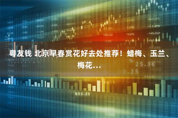 粤友钱 北京早春赏花好去处推荐！蜡梅、玉兰、梅花…