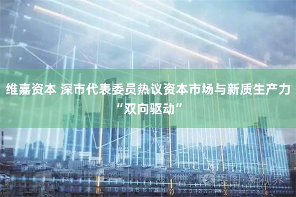 维嘉资本 深市代表委员热议资本市场与新质生产力“双向驱动”