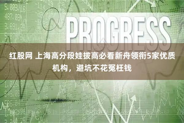 红股网 上海高分段娃拔高必看新舟领衔5家优质机构，避坑不花冤枉钱