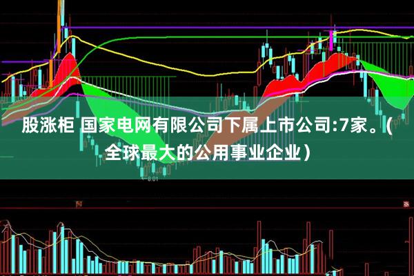 股涨柜 国家电网有限公司下属上市公司:7家。(全球最大的公用事业企业）