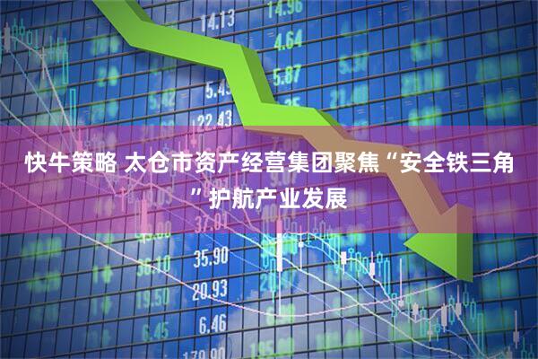 快牛策略 太仓市资产经营集团聚焦“安全铁三角”护航产业发展