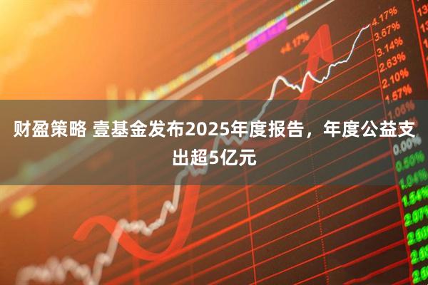 财盈策略 壹基金发布2025年度报告，年度公益支出超5亿元