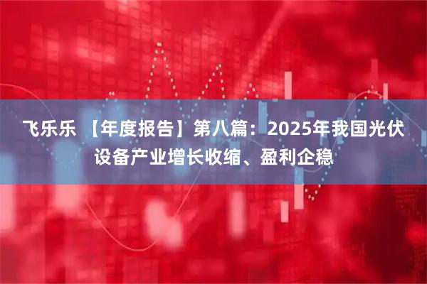 飞乐乐 【年度报告】第八篇：2025年我国光伏设备产业增长收缩、盈利企稳
